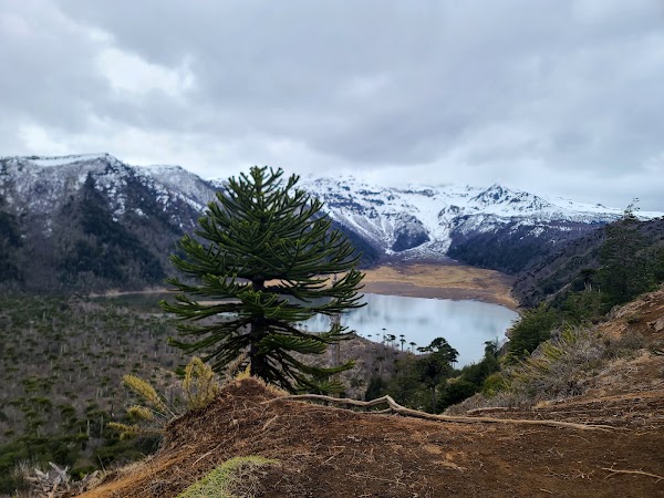 Mirador laguna blanca 1
