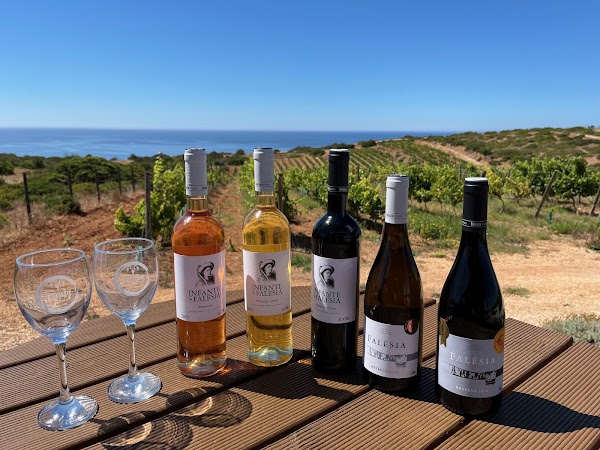Falesia Wine