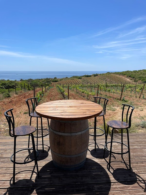 Falesia Wine 5