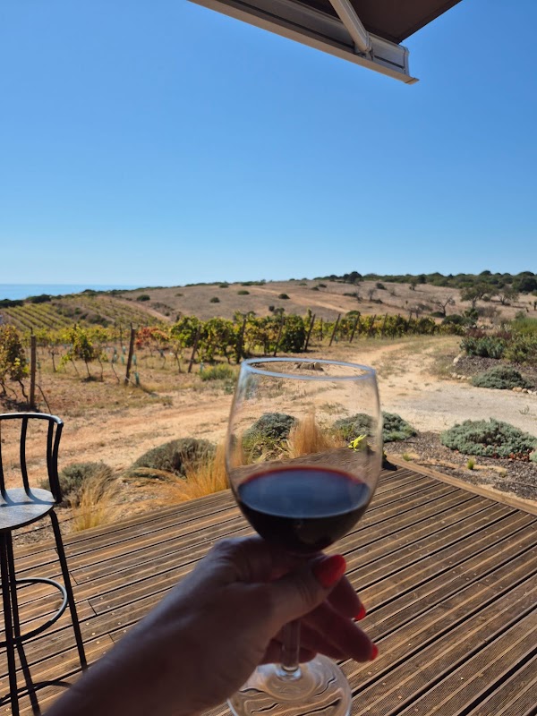 Falesia Wine 4