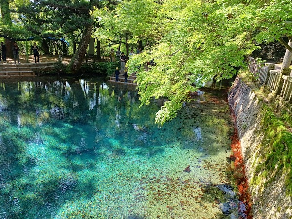 Japan 29