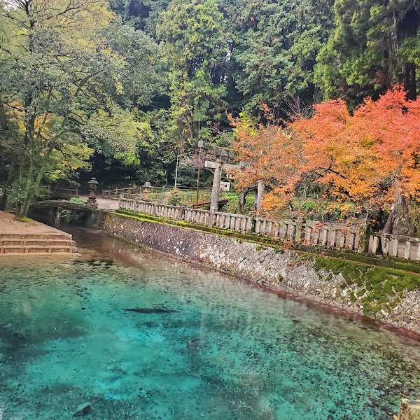 Beppu Benten Pond 5