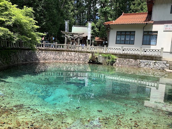 Beppu Benten Pond 4