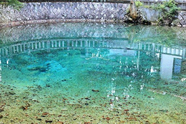 Beppu Benten Pond 2