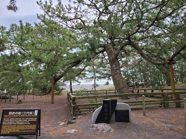 Miho no Matsubara (Miho Pine Forest) 5