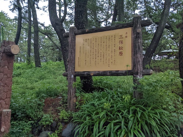 Miho no Matsubara (Miho Pine Forest) 3