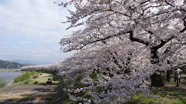 Japan 54
