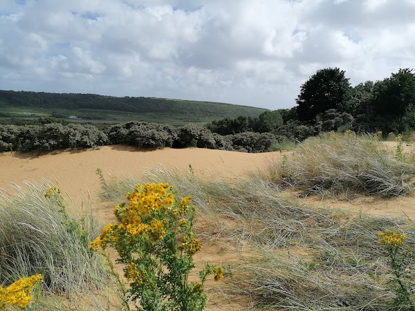 Merthyr Mawr
