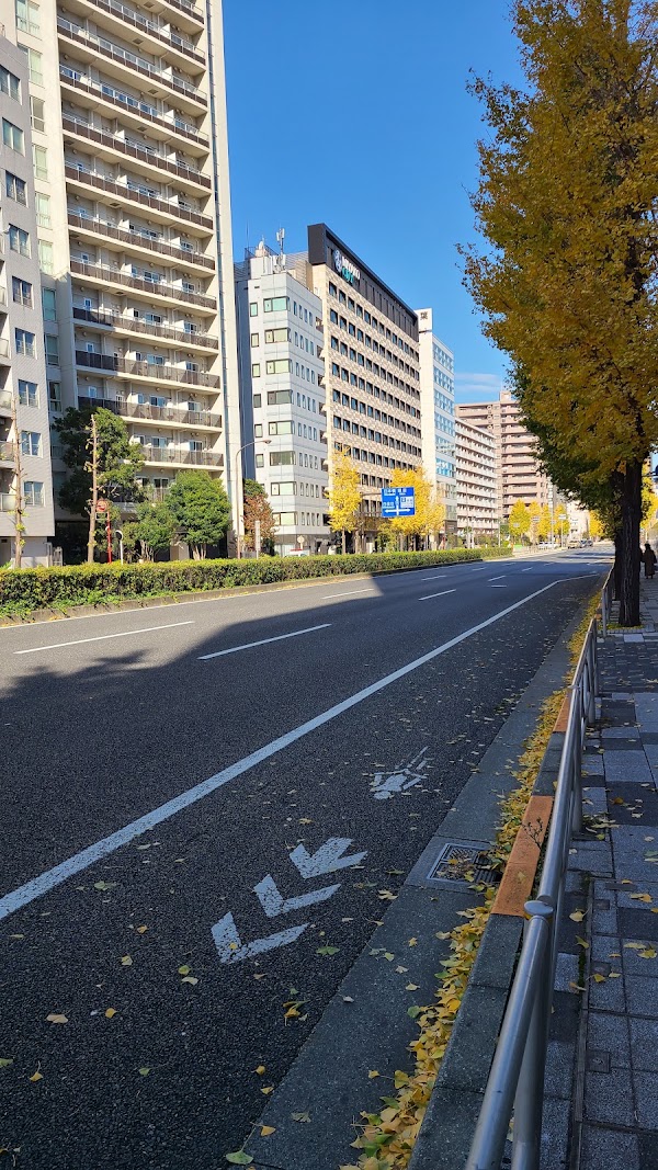 Shinagawa City 5
