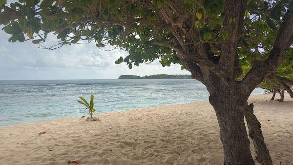 Plage de la chapelle