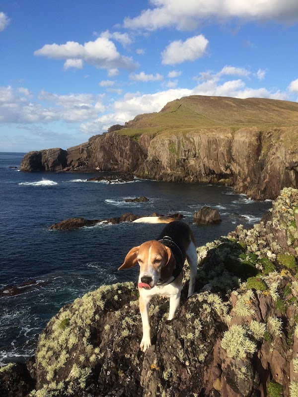 Feohanagh