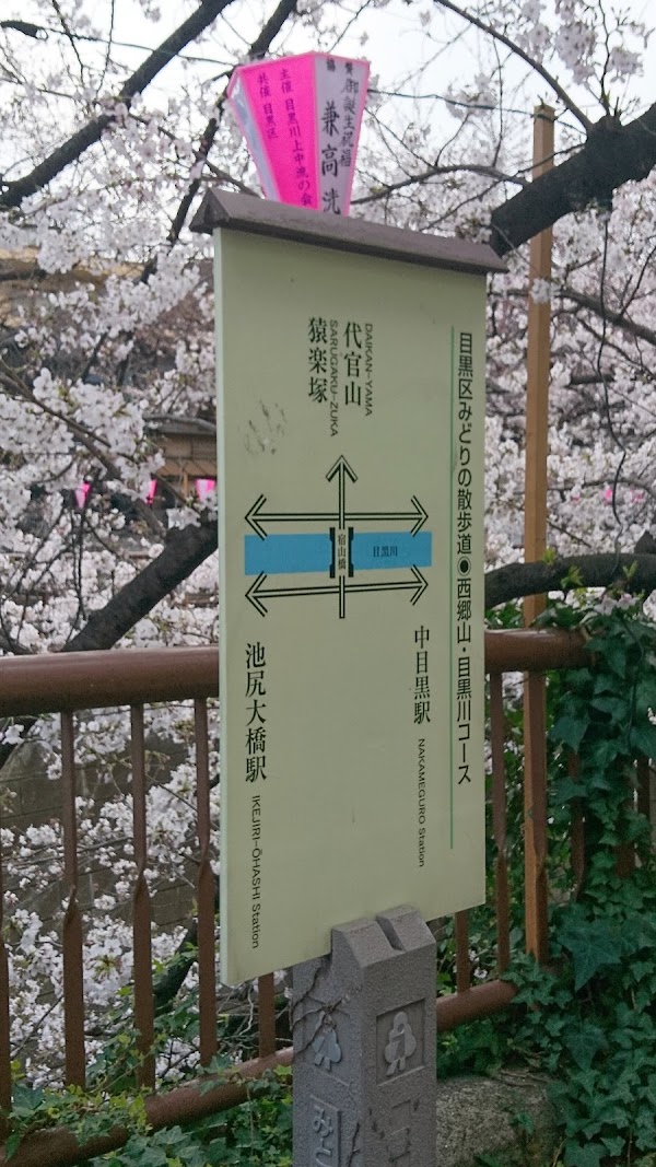 Sakura Bridge 2