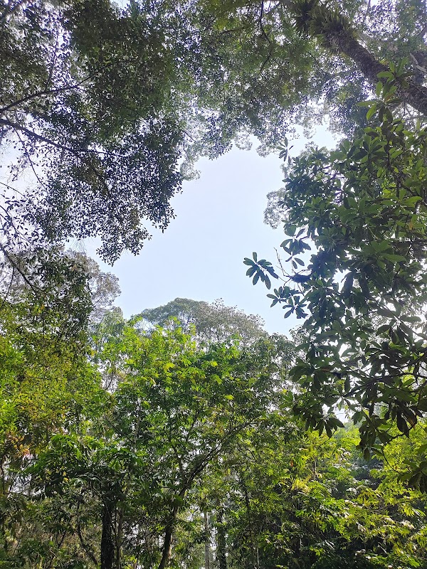 Chongkak Park & Resort by Tourism Selangor 3