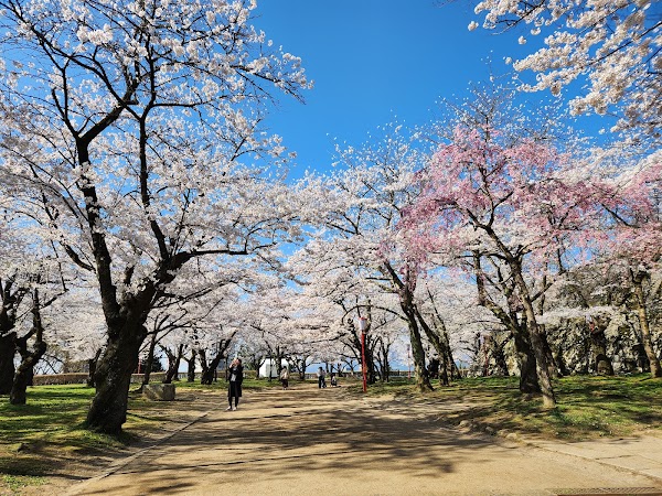 Iwate Park (Morioka Castle Ruins Park)