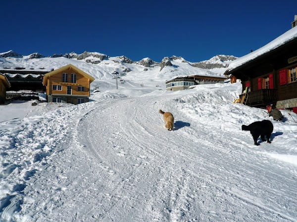 Belalp