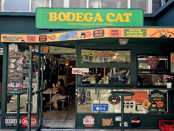 보데가캣 Bodega Cat 3