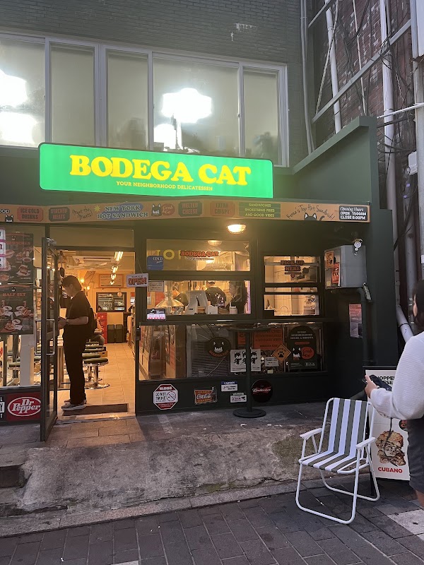 보데가캣 Bodega Cat 2