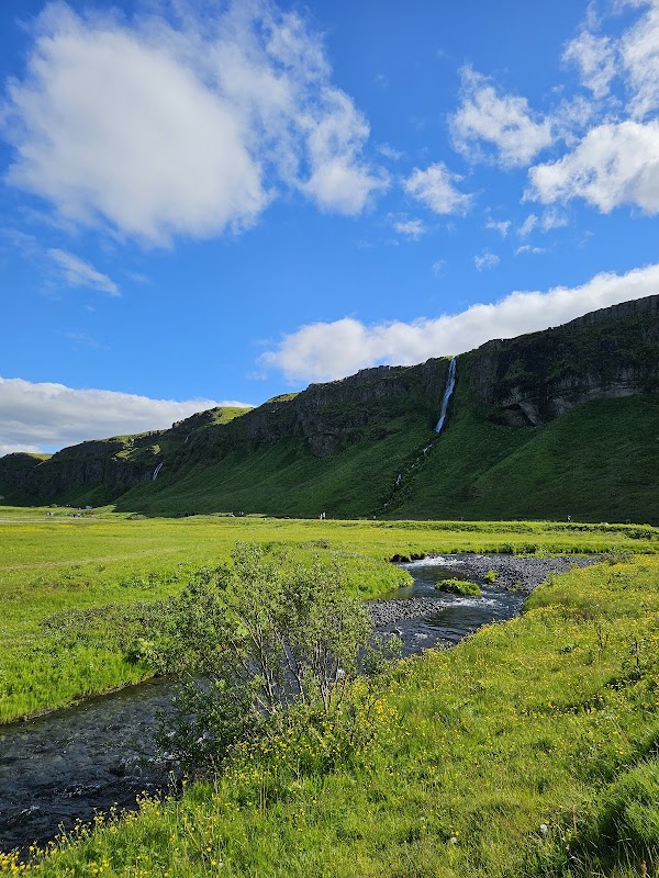 Seljalandsfoss 5