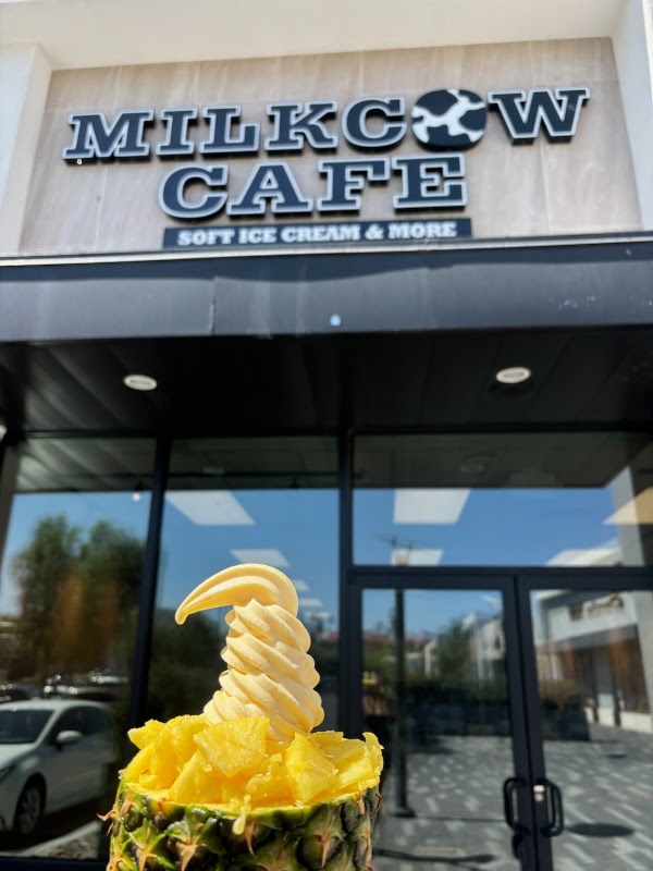 Milkcow Cafe 2