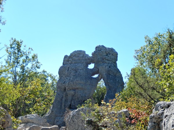 Bois de Païolive 5
