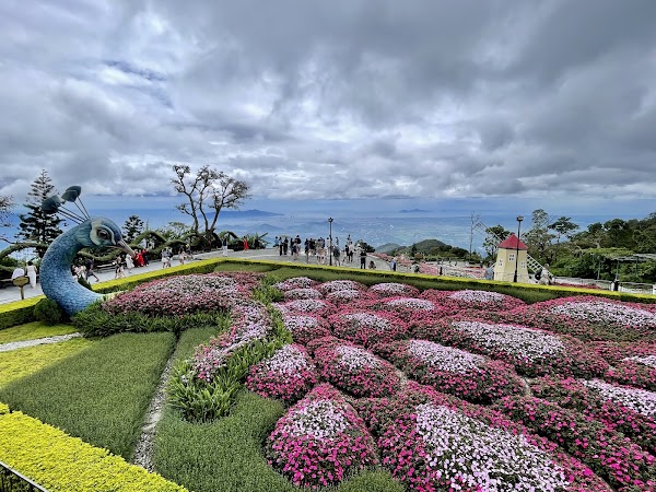 Vietnam 45