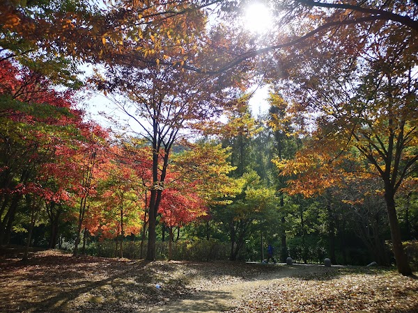 난지천공원 3