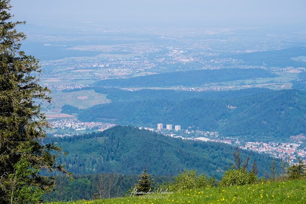 Kandel 4