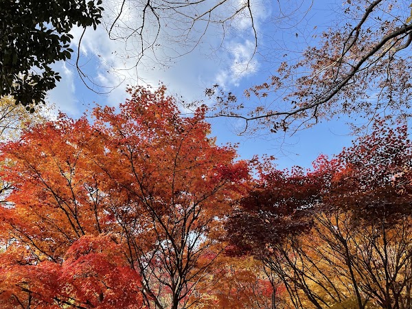 Gyeongsangnamdo Arboretum 5