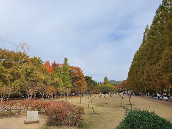 Gyeongsangnamdo Arboretum 4