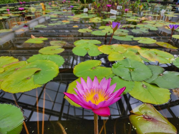 Gyeongsangnamdo Arboretum 2