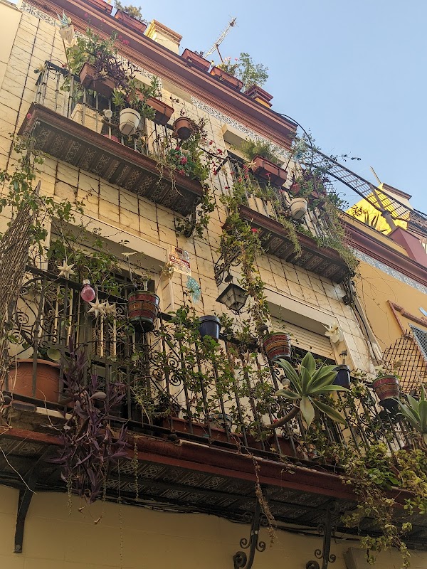 Santa Cruz, Seville 3