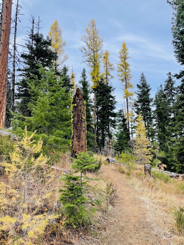 Swauk Forest Discovery Trail Trailhead