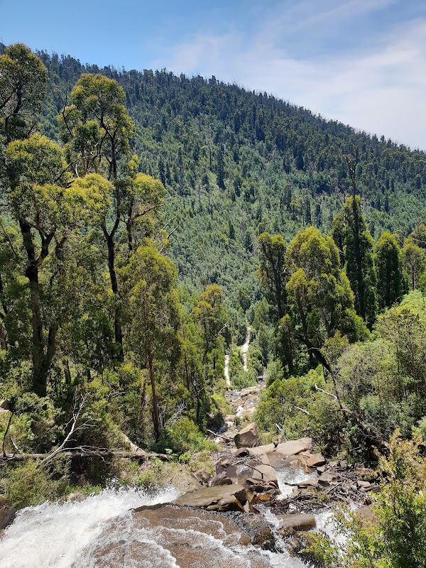 Steavenson Falls Walk