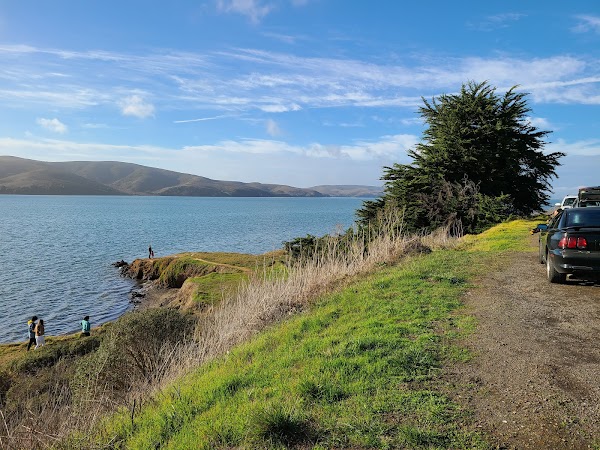 Tomales Bay 5