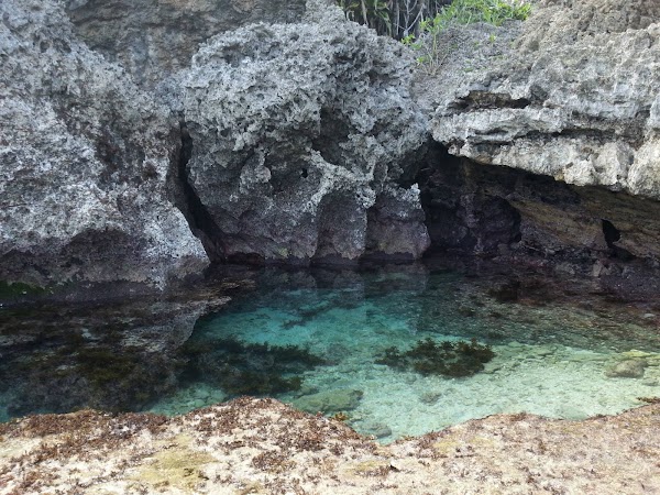 Magpopongko Rock Pools and Flats 3