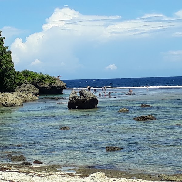 Magpopongko Rock Pools and Flats 2