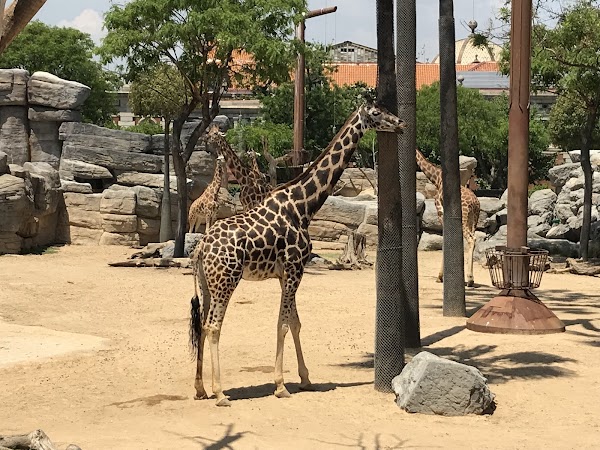 Barcelona Zoo 6
