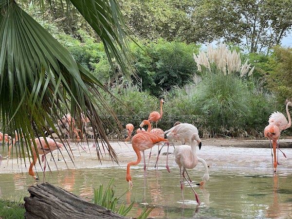 Barcelona Zoo 5