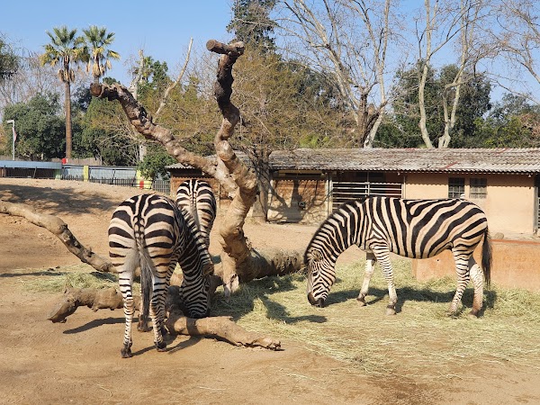 Barcelona Zoo 4