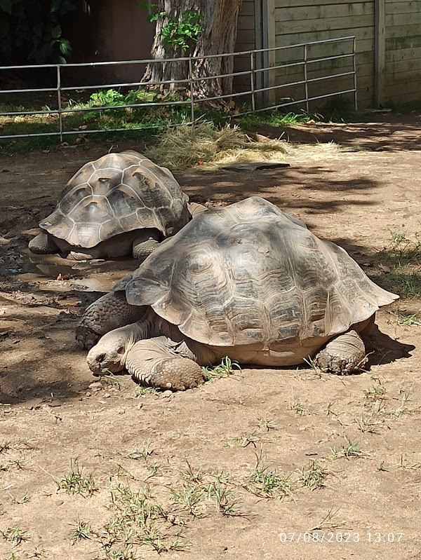Barcelona Zoo 3
