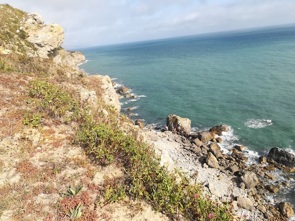 Dungy Head 3