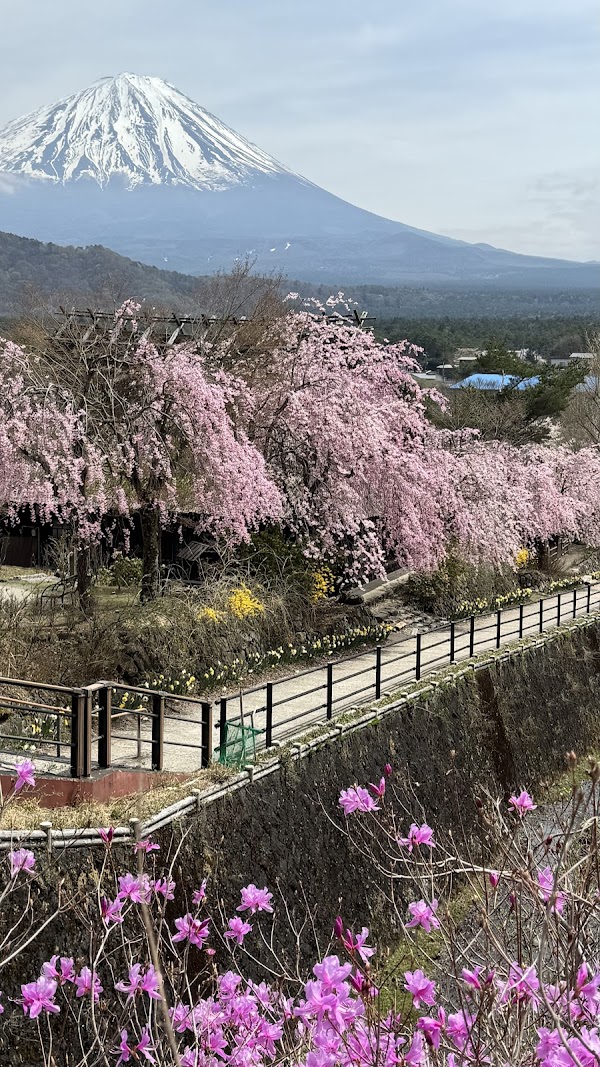 Saiko Nenba-hama