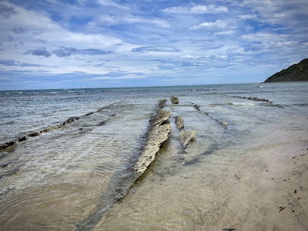 Wainui Beach 1
