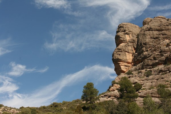 Estels del Sud 1