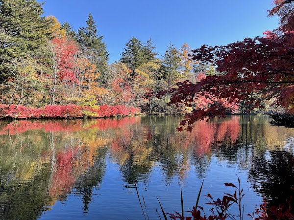 Kumoba Pond