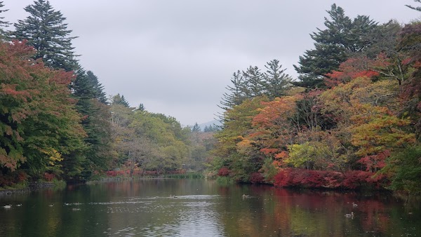 Kumoba Pond 5