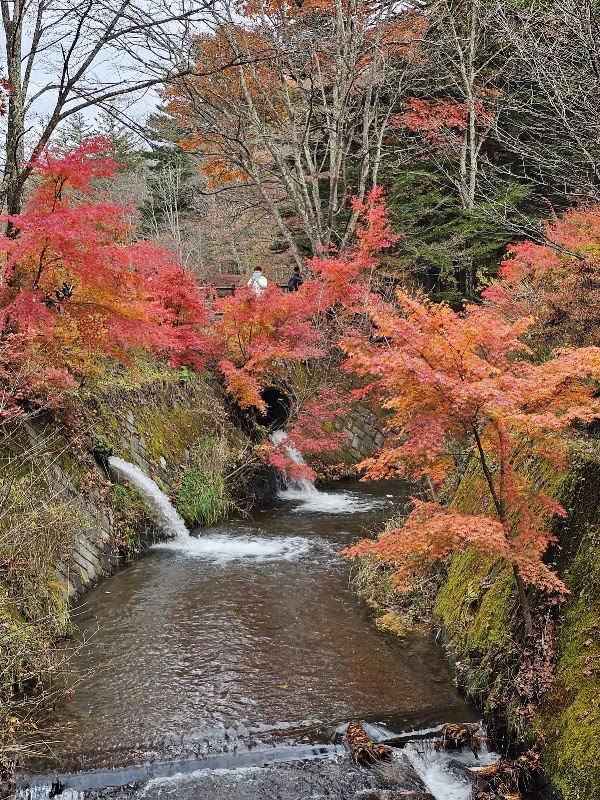 Kumoba Pond 4