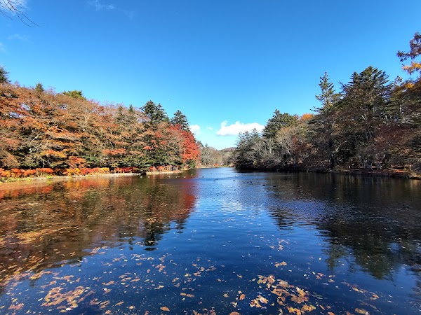 Kumoba Pond 3