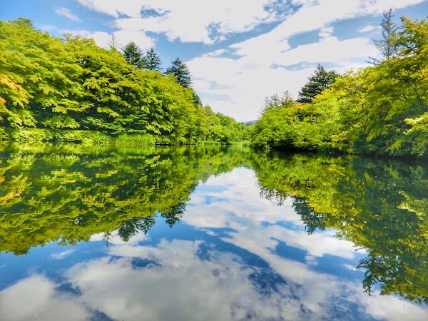 Kumoba Pond 2