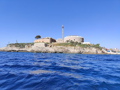 Mamula